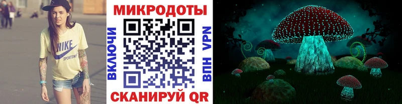 купить наркотики цена  Советская Гавань  Галлюциногенные грибы Cubensis 