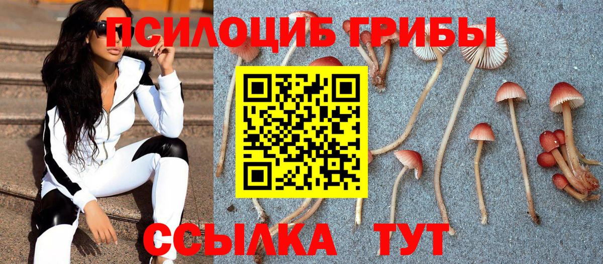 Псилоцибиновые грибы GOLDEN TEACHER Советская Гавань