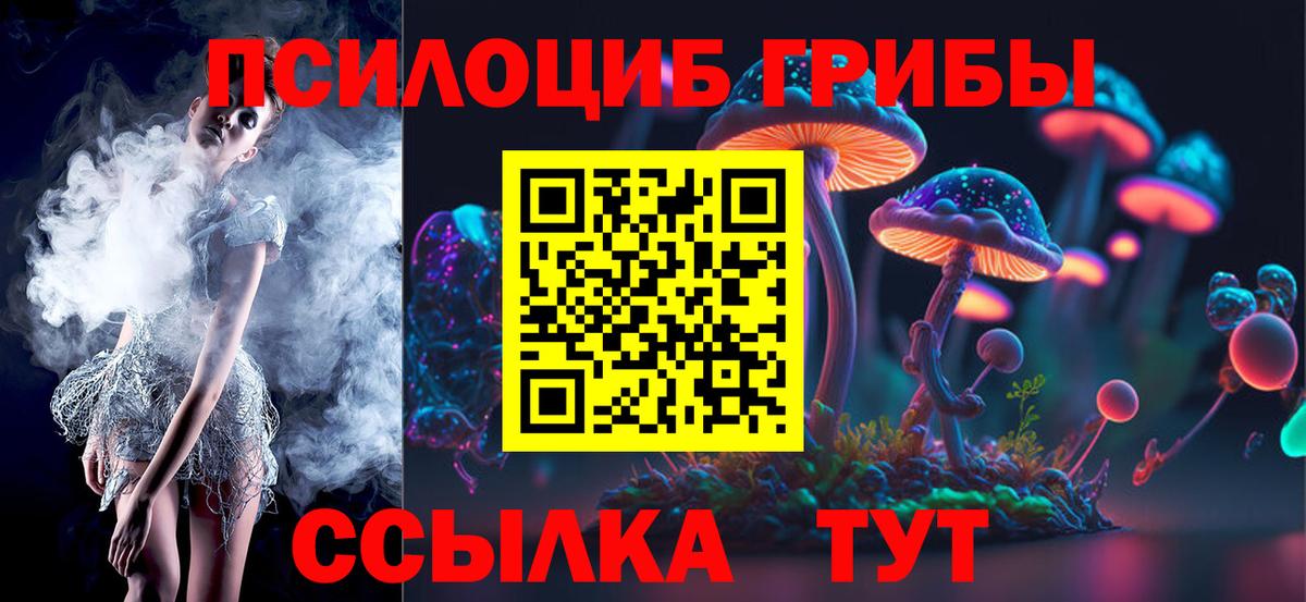 Псилоцибиновые грибы Psilocybine cubensis  Вход с VPN  Советская Гавань 
